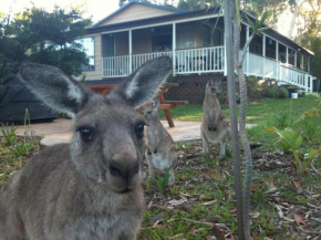 Bush & Bay Cottage, Erowal Bay